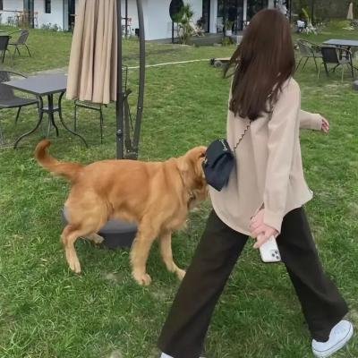 论尽天堂粤语