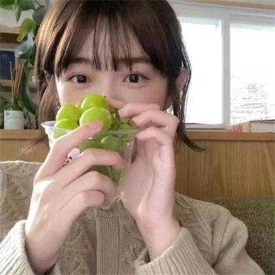 鱼与猫